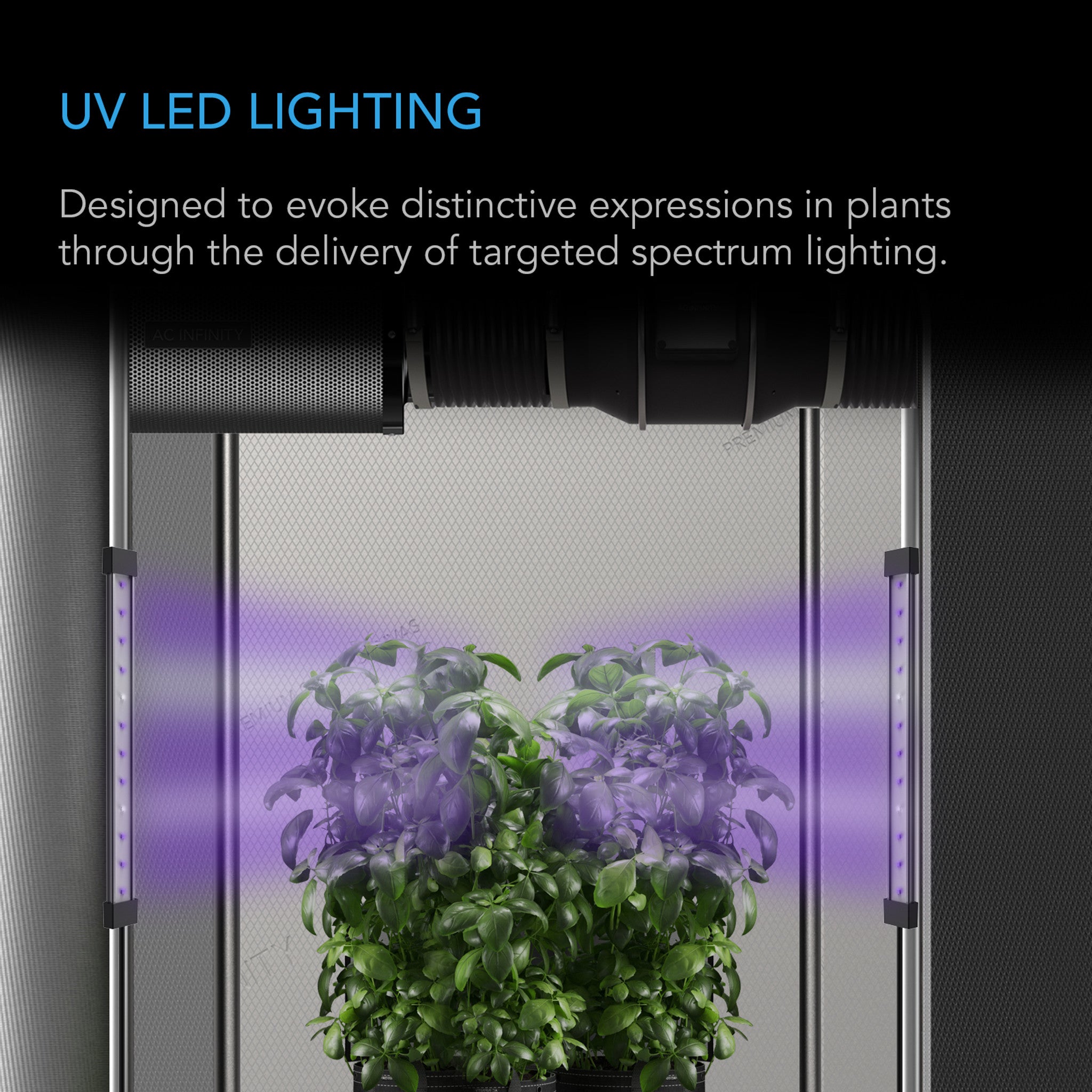IONBEAM U2