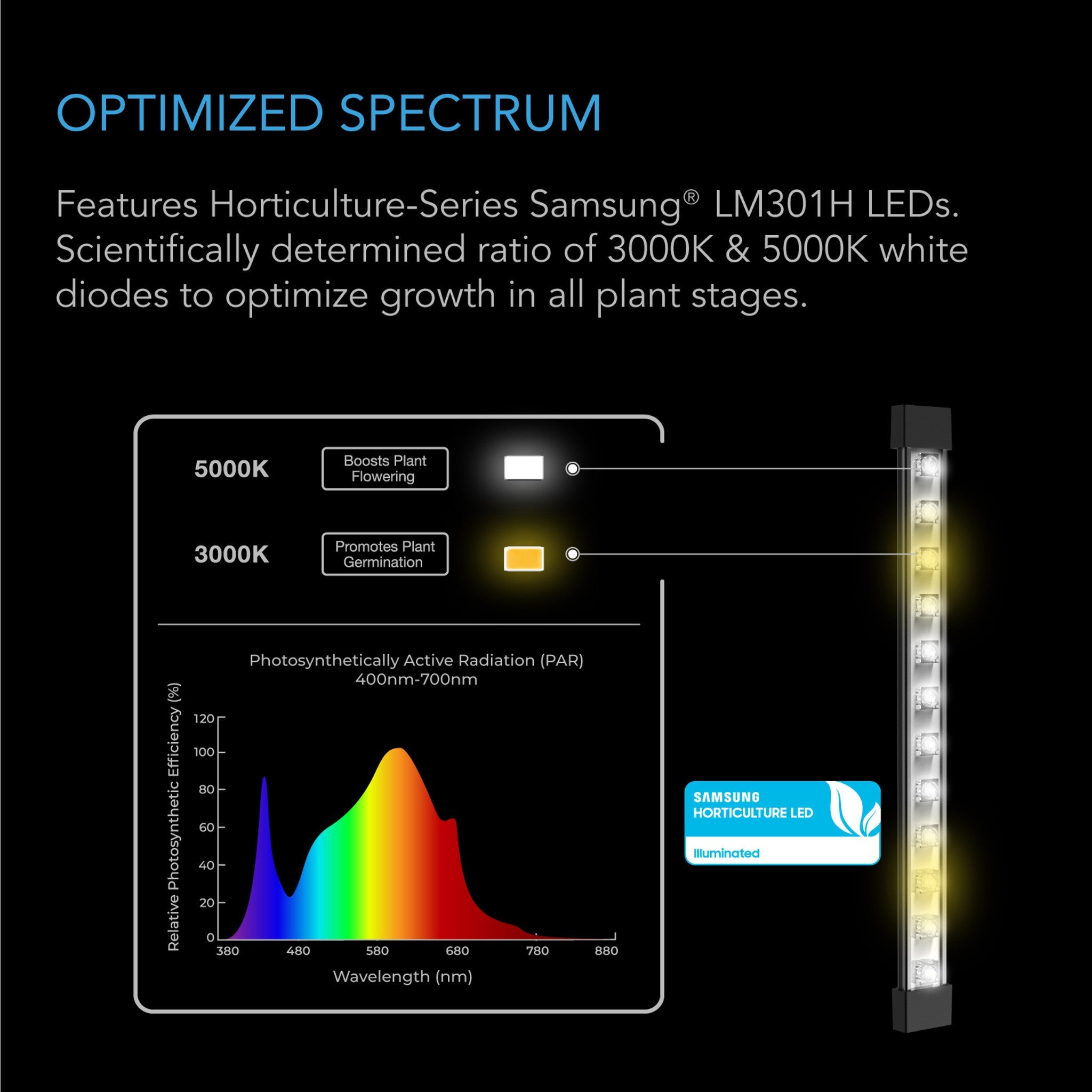 IONBEAM S16