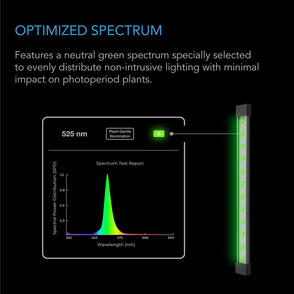 IONBEAM GREEN - Smartvekst.no