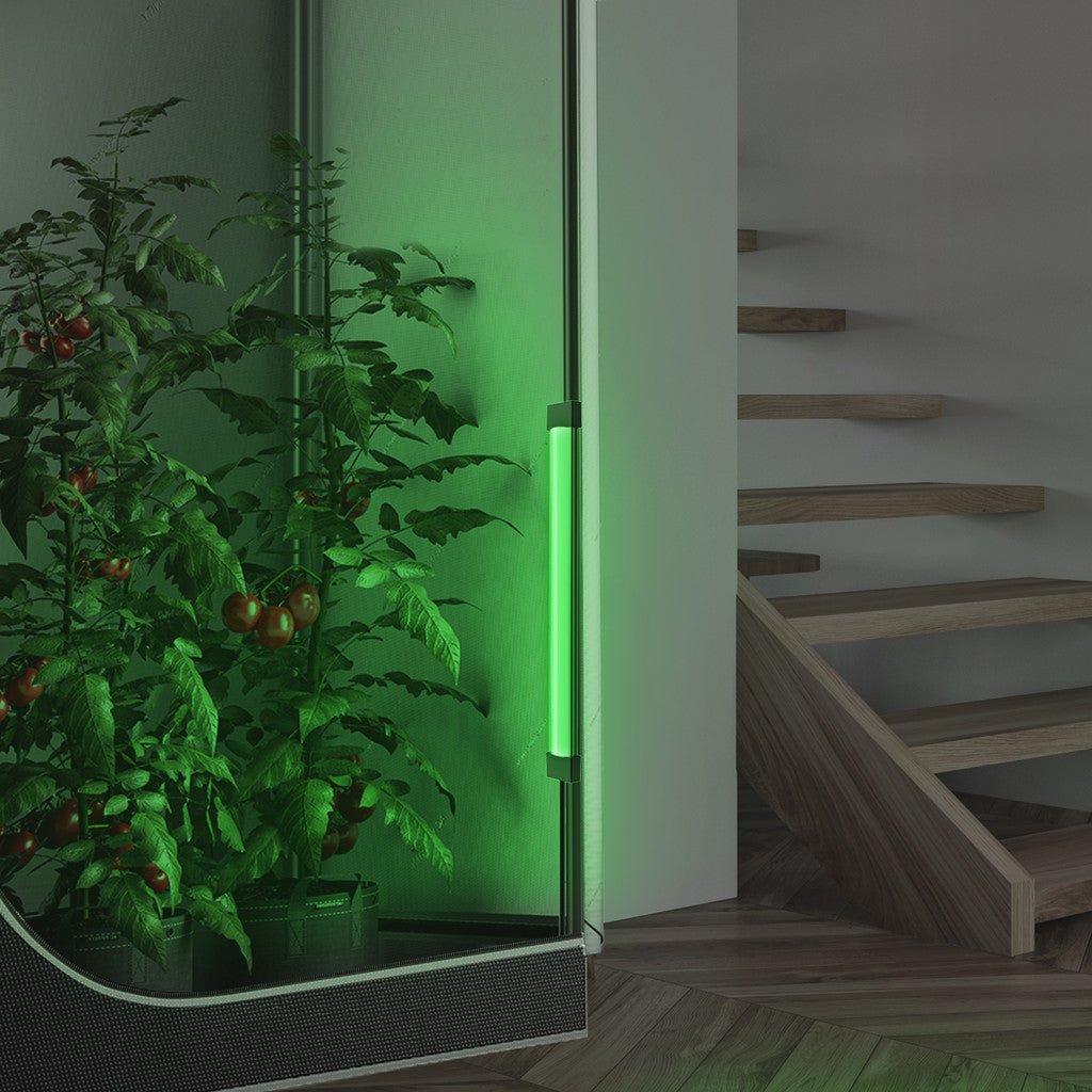IONBEAM GREEN - Smartvekst.no