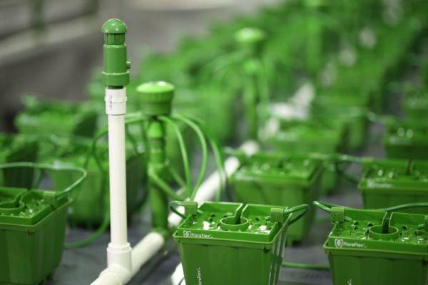 Air Bleed Valve - Smartgrow.no