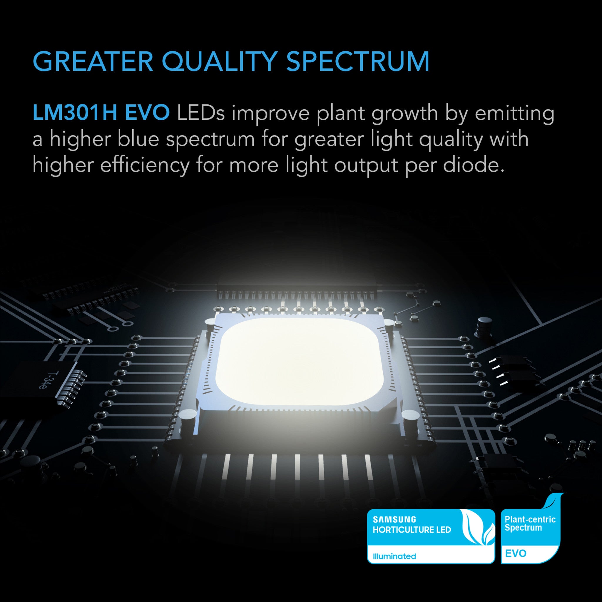 IONFRAME EVO4